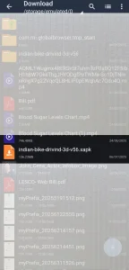Indian Bike Driving 3d Old Version Download 7 Step 3: Open Download Folder and Find your XAPK file